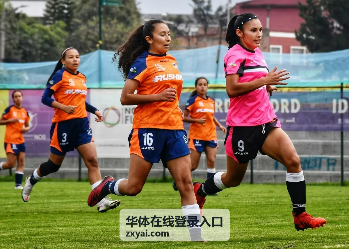 华体在线登录入口 登录入口引导